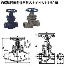 UJ11Y(H) U11SM(ni)ݼyy-ɽyT죨Ϻ޹˾